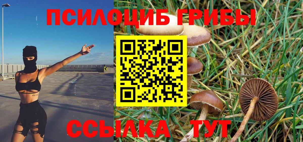 Псилоцибиновые грибы ЛСД Сочи