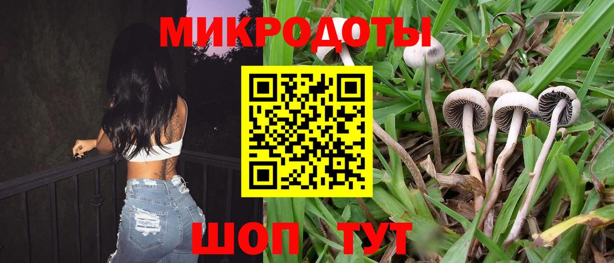 Псилоцибиновые грибы MAGIC MUSHROOMS  Вход с VPN  Псилоцибиновые грибы ЛСД  Сочи 